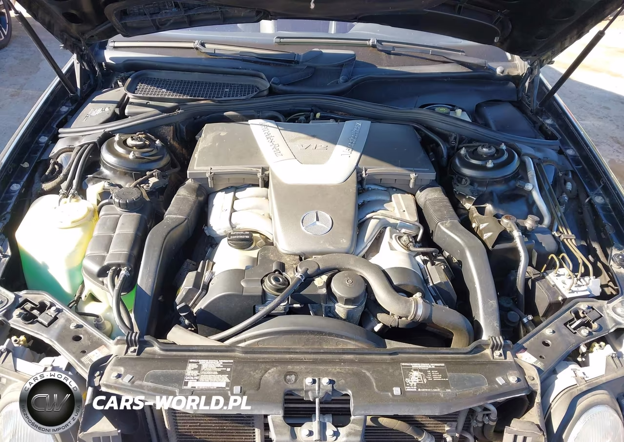 2001 Mercedes-Benz Cl 600 VIN:WDBPJ78J81A016927 - 10
