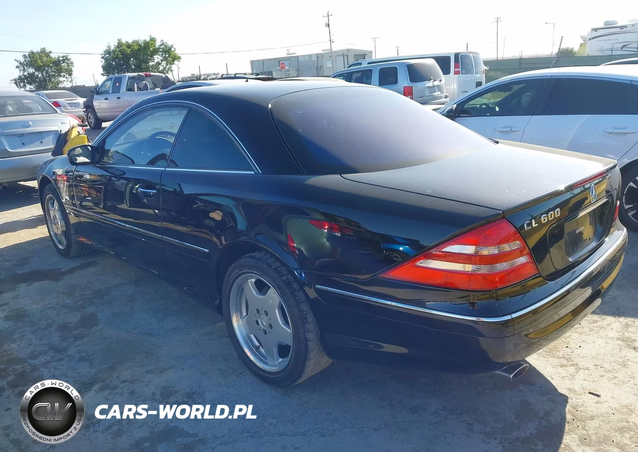 2001 Mercedes-Benz Cl 600 VIN:WDBPJ78J81A016927 - 3