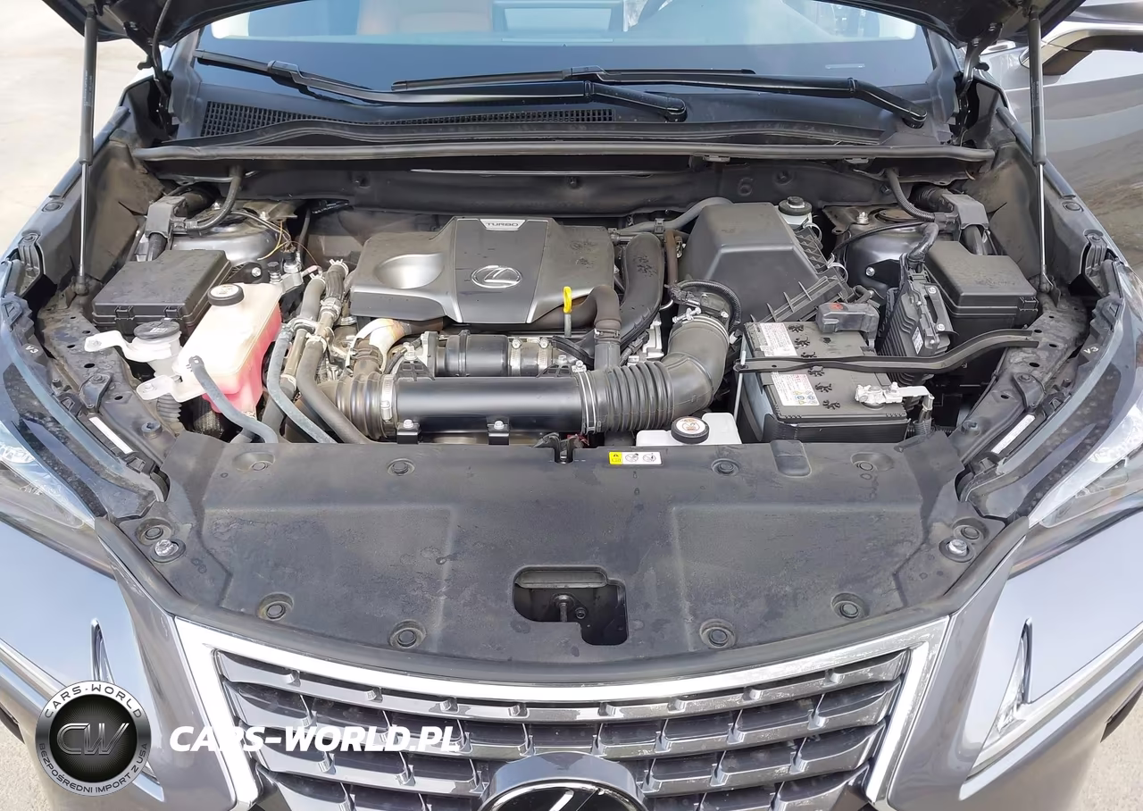 2021 Lexus Nx 300 VIN:JTJGARBZ2M2186546 - 10