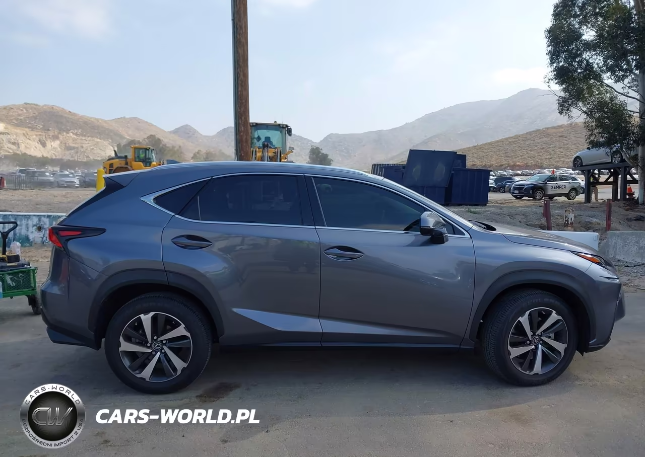 2021 Lexus Nx 300 VIN:JTJGARBZ2M2186546 - 13
