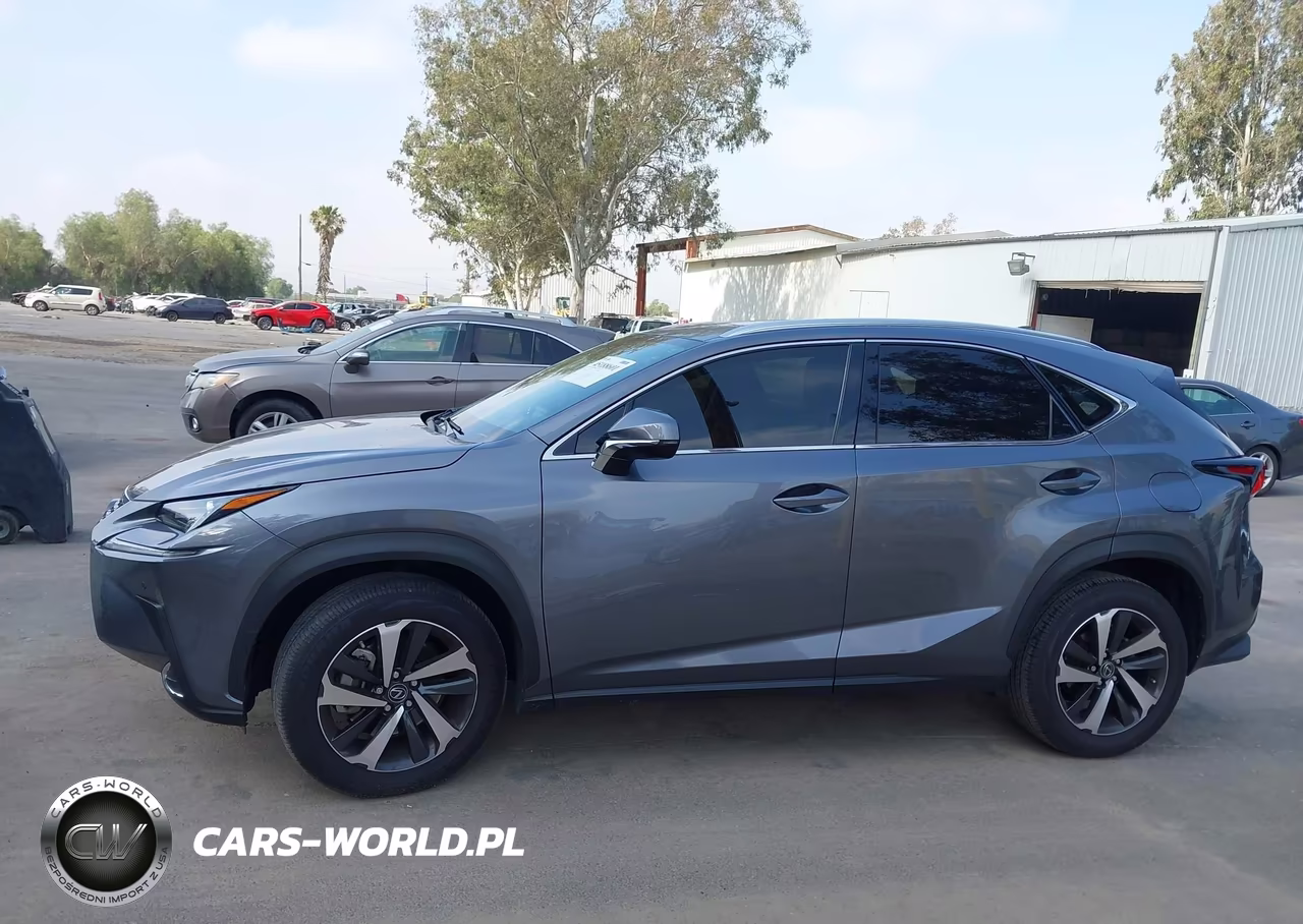 2021 Lexus Nx 300 VIN:JTJGARBZ2M2186546 - 14