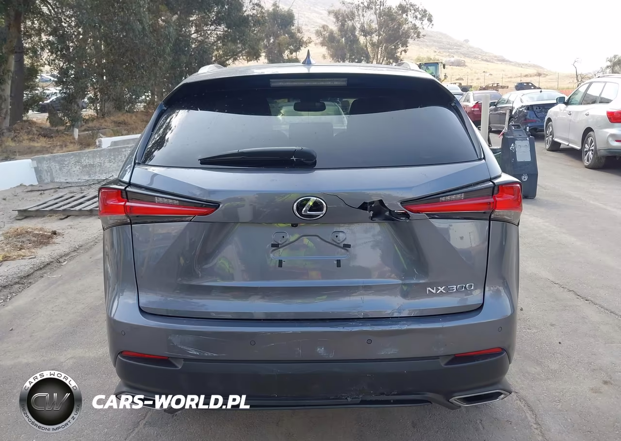2021 Lexus Nx 300 VIN:JTJGARBZ2M2186546 - 16