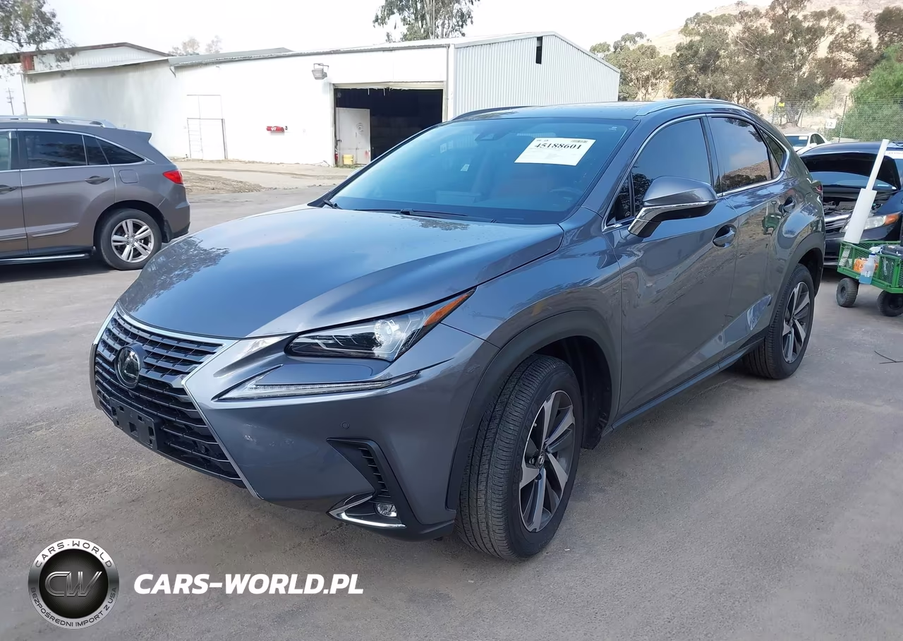 2021 Lexus Nx 300 VIN:JTJGARBZ2M2186546 - 2
