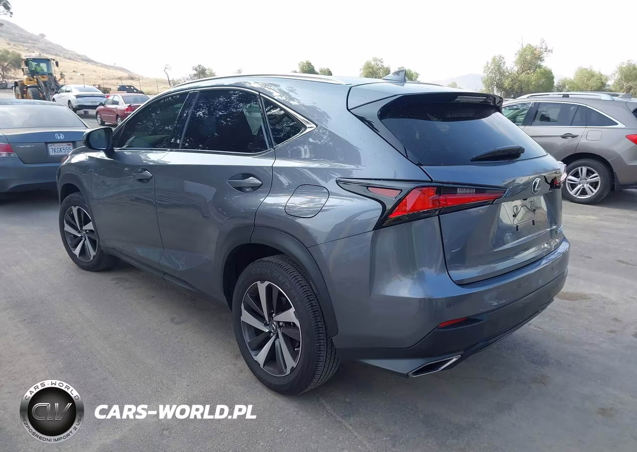 2021 Lexus Nx 300 VIN:JTJGARBZ2M2186546 - 3