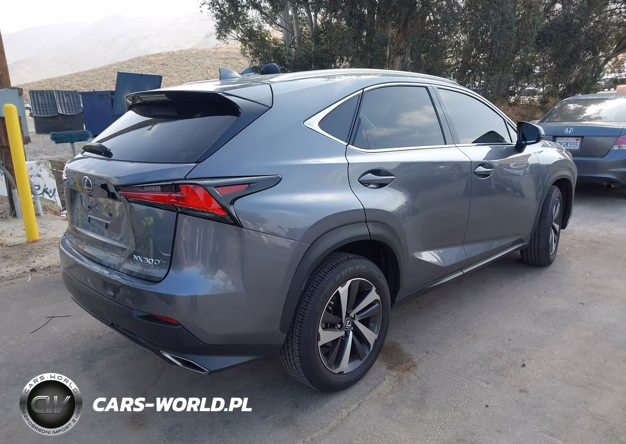 2021 Lexus Nx 300 VIN:JTJGARBZ2M2186546 - 4