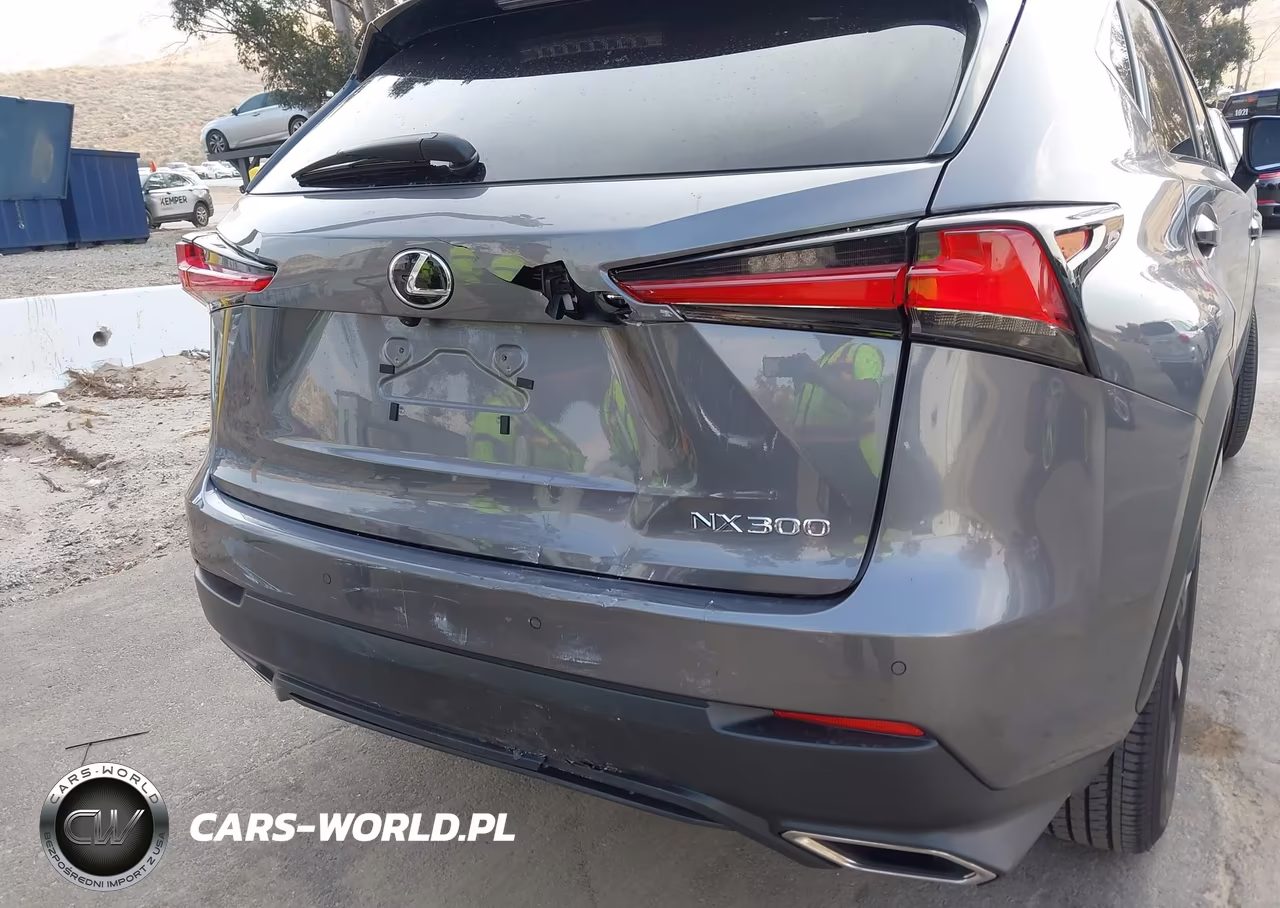 2021 Lexus Nx 300 VIN:JTJGARBZ2M2186546 - 6