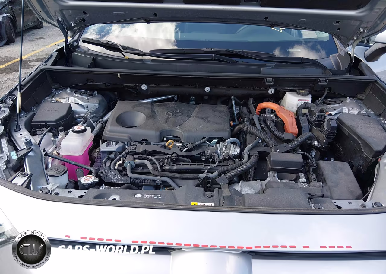2024 Toyota Rav4 Hybrid Xle VIN:4T3RWRFV1RU113588 - 10
