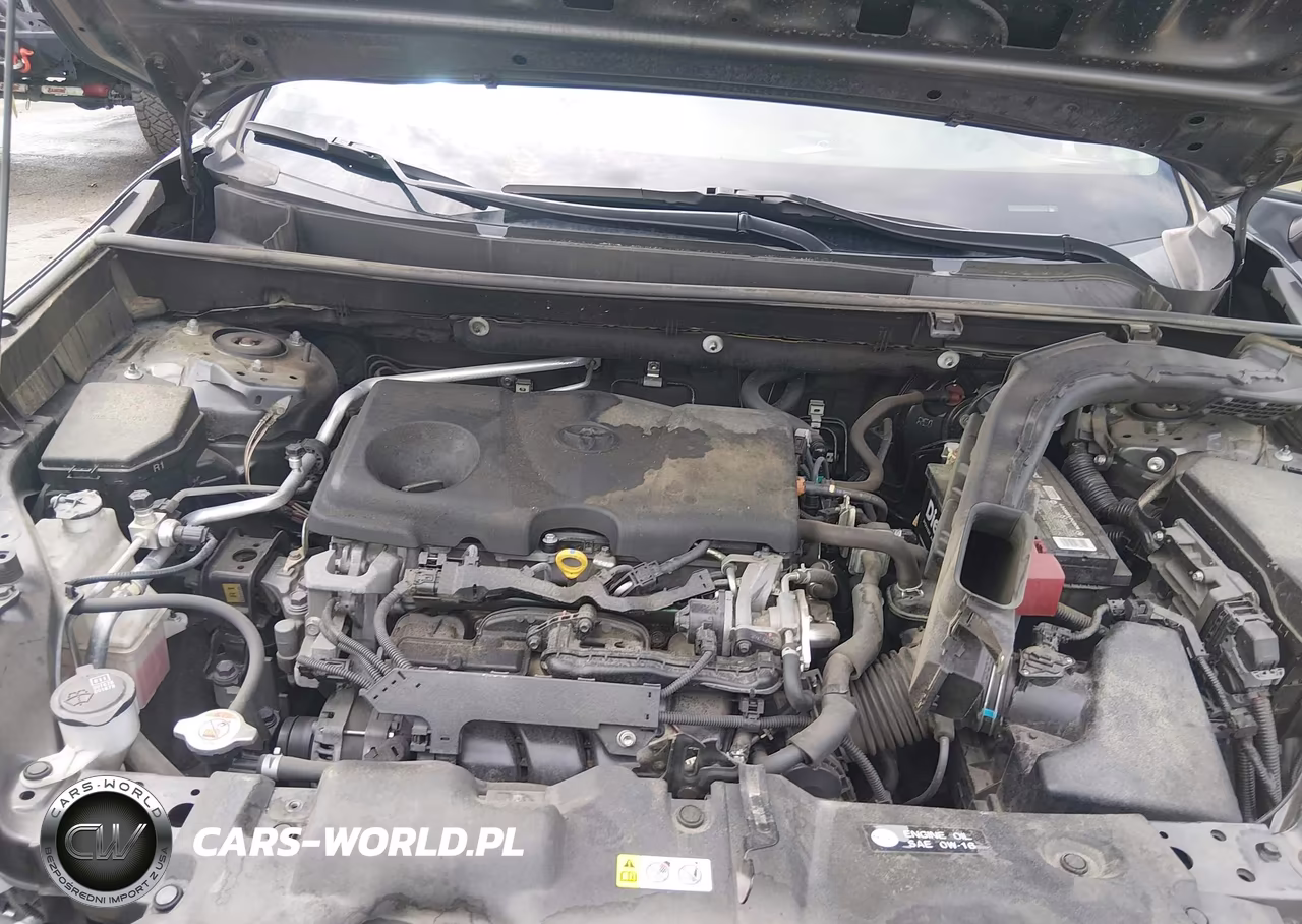 2019 Toyota Rav4 Xle VIN:JTMW1RFV5KD018374 - 10