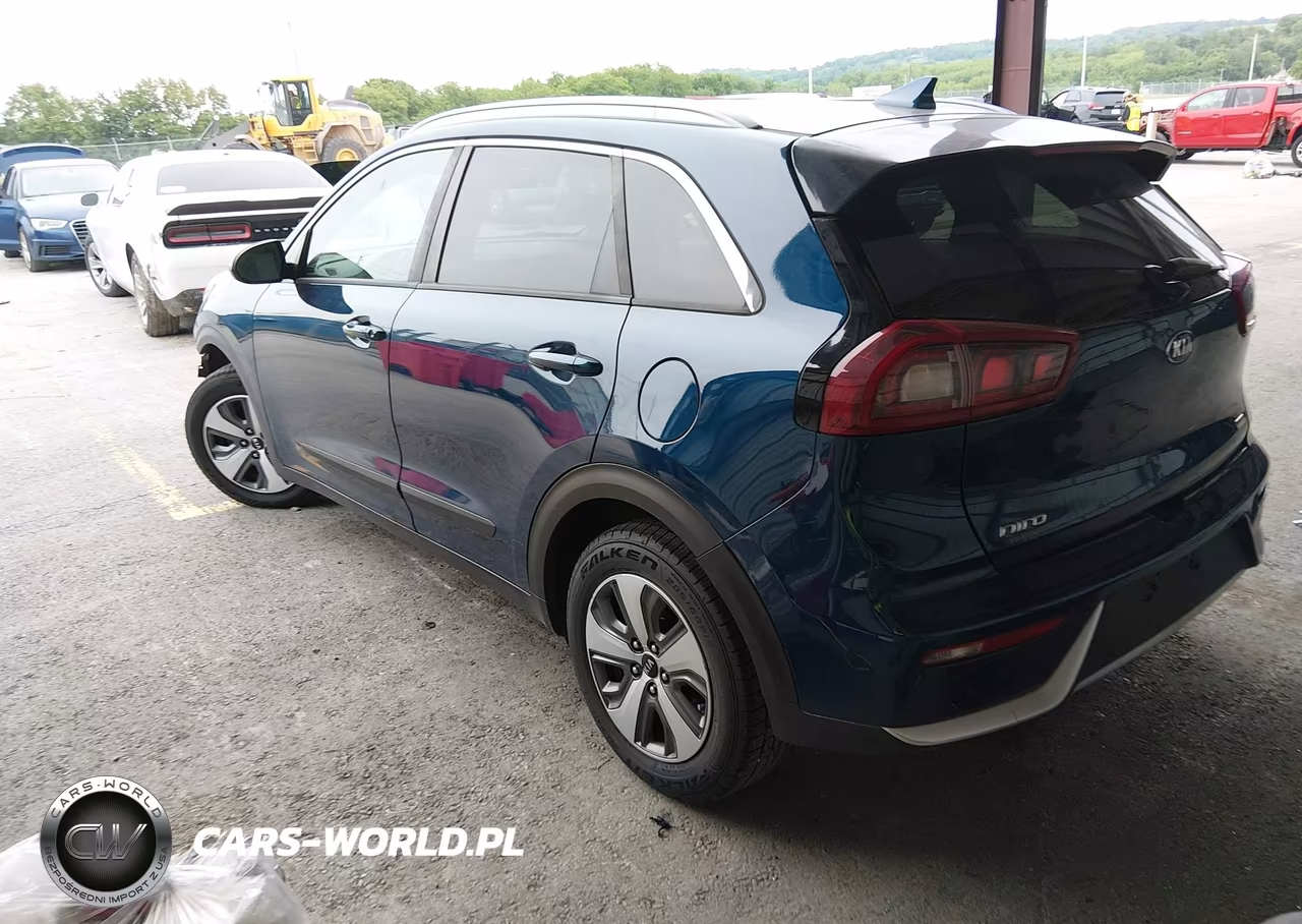 2019 Kia Niro Lx VIN:KNDCB3LC1K5302529 - 3