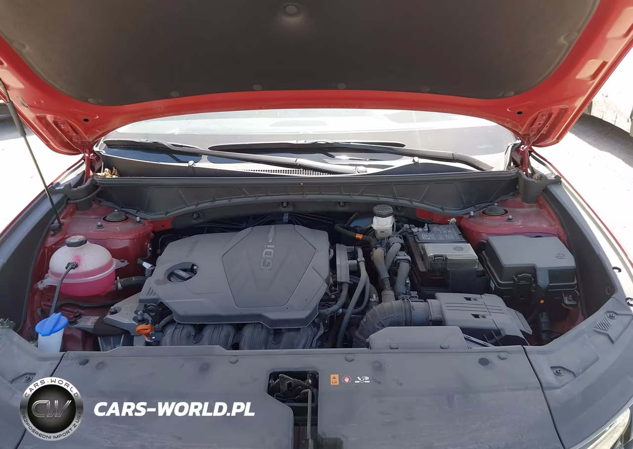 2024 Hyundai Tucson Sel VIN:5NMJBCDE2RH409054 - 10