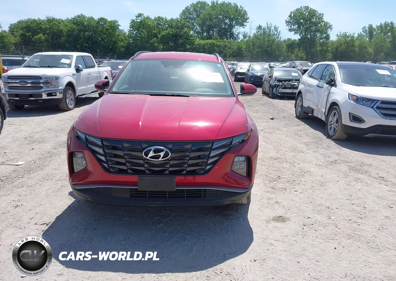 2024 Hyundai Tucson Sel VIN:5NMJBCDE2RH409054 - 12