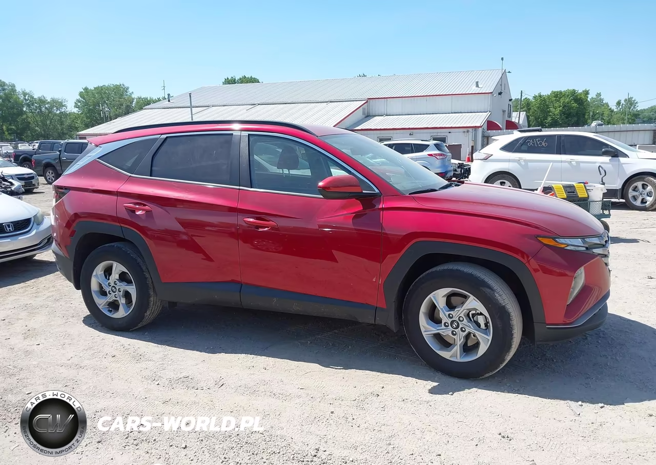 2024 Hyundai Tucson Sel VIN:5NMJBCDE2RH409054 - 13