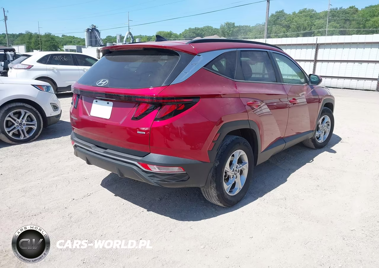 2024 Hyundai Tucson Sel VIN:5NMJBCDE2RH409054 - 4
