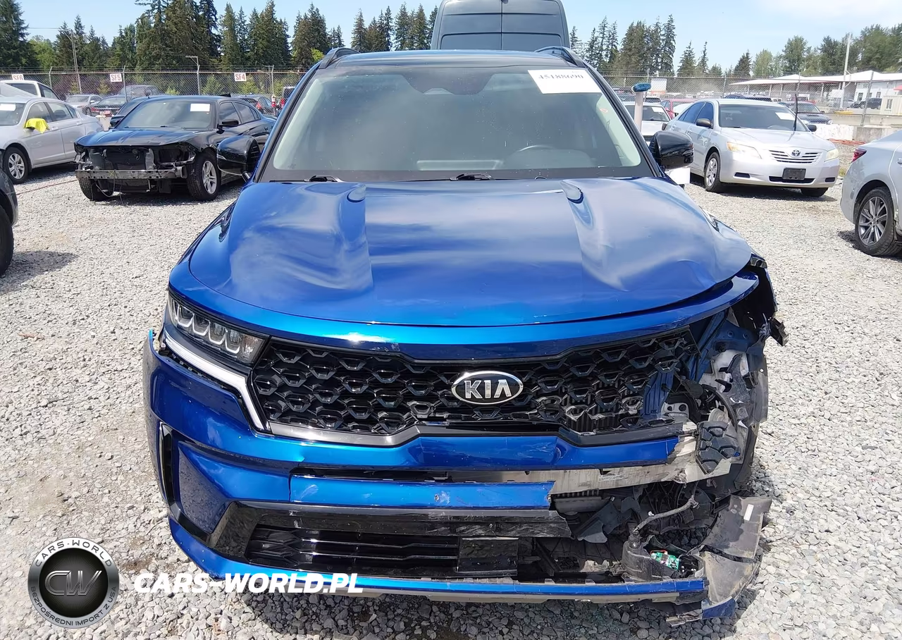 2021 Kia Sorento Ex VIN:5XYRHDLF2MG029197 - 13