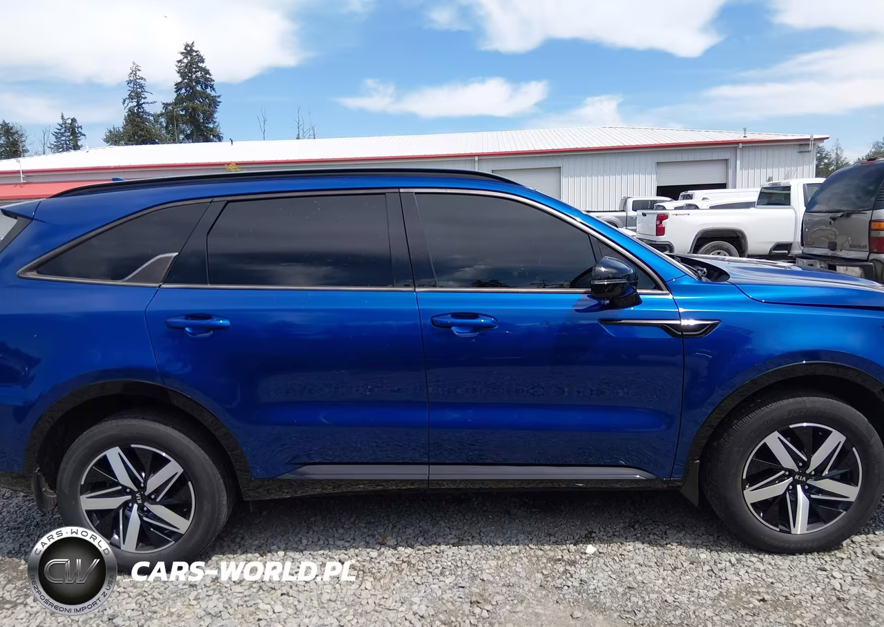 2021 Kia Sorento Ex VIN:5XYRHDLF2MG029197 - 14