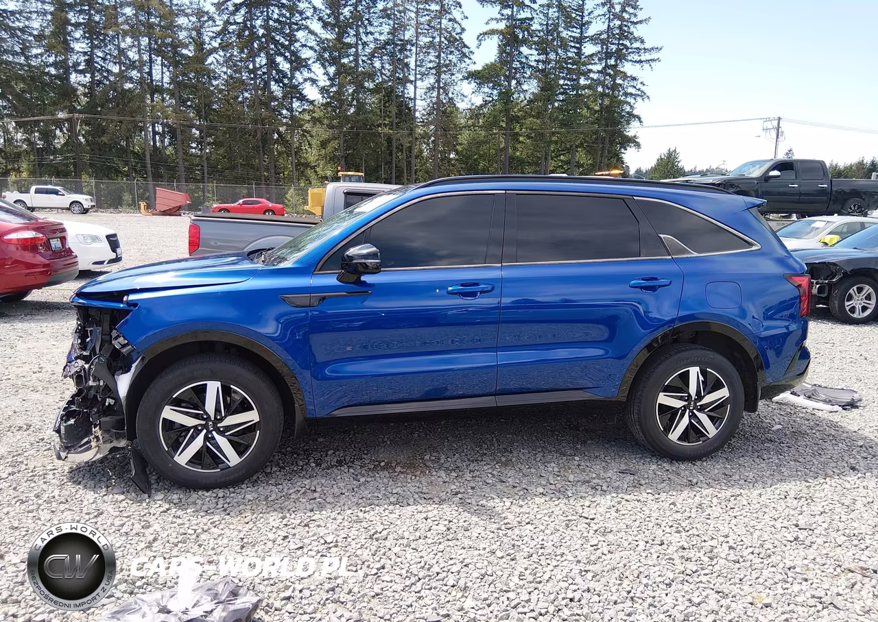 2021 Kia Sorento Ex VIN:5XYRHDLF2MG029197 - 15