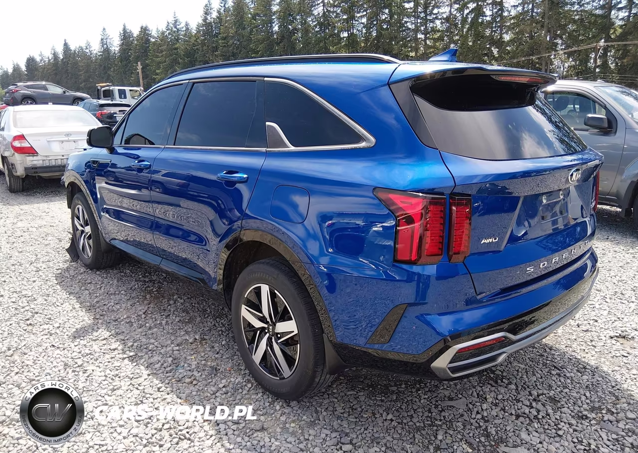 2021 Kia Sorento Ex VIN:5XYRHDLF2MG029197 - 3