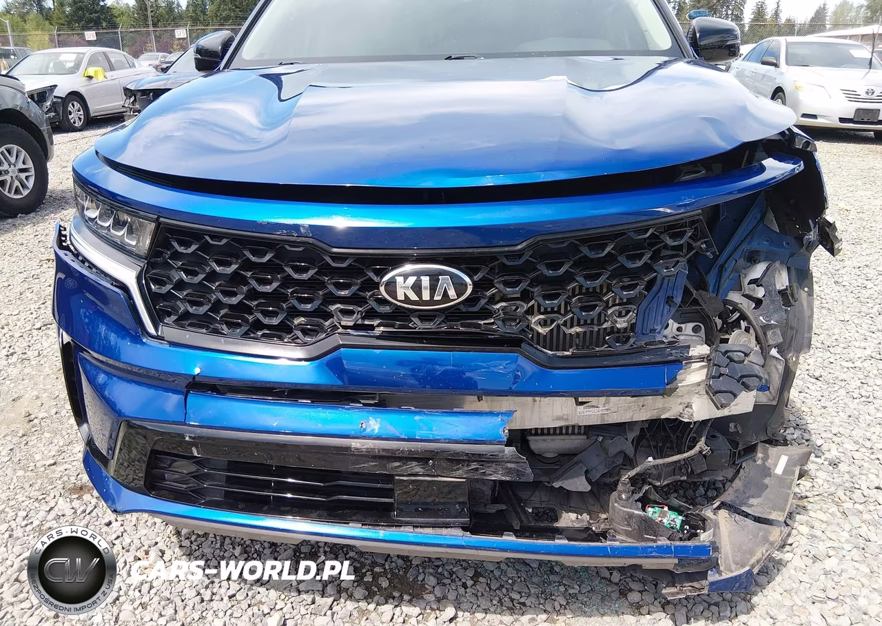 2021 Kia Sorento Ex VIN:5XYRHDLF2MG029197 - 6