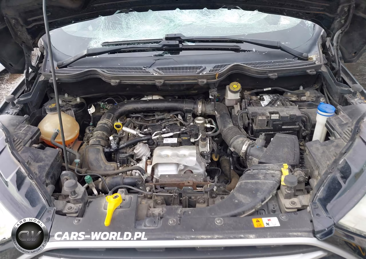 2018 Ford Ecosport Se VIN:MAJ3P1TE0JC241326 - 10