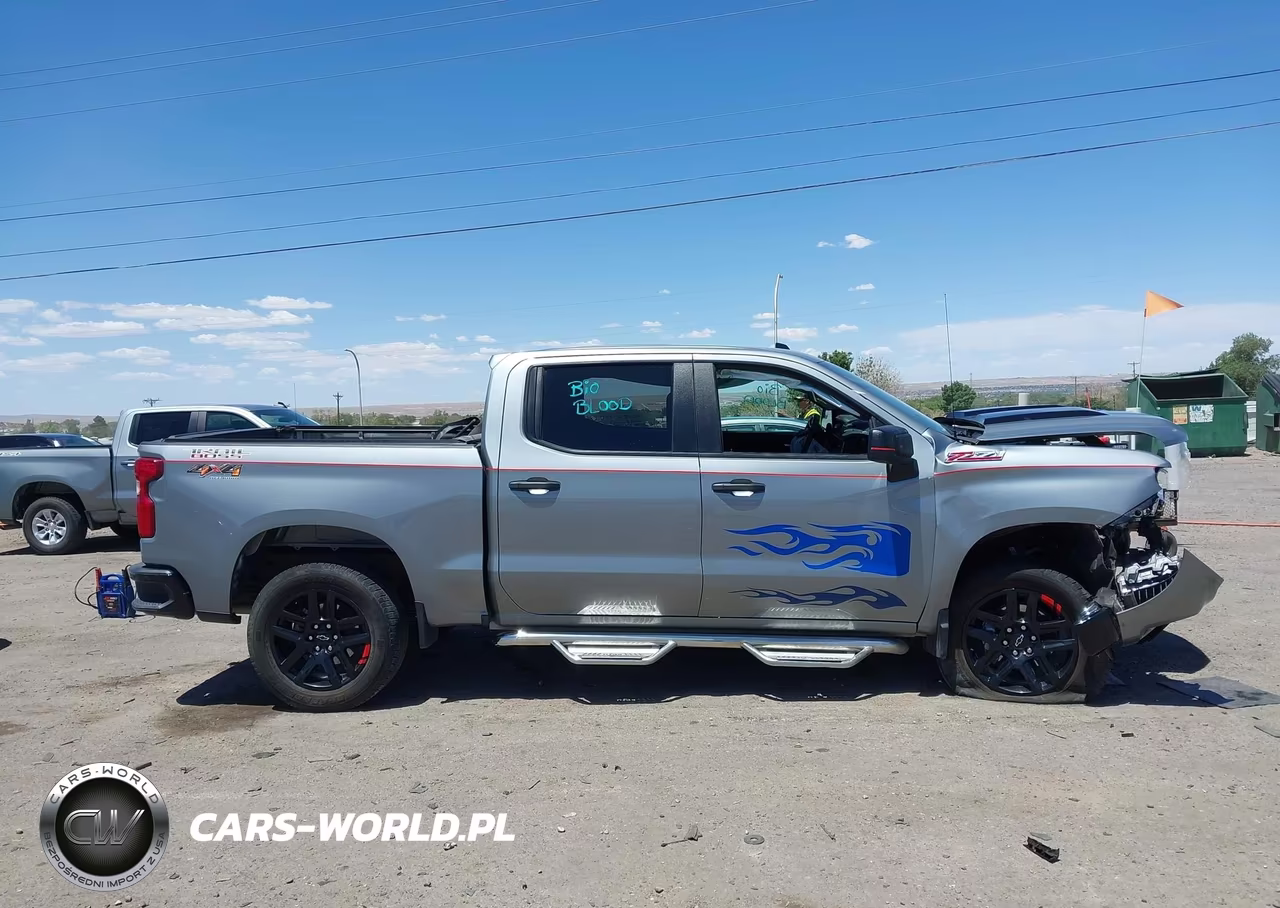 2025 Chevrolet Silverado 1500 4Wd Short Bed Custom Trail Boss VIN:3GCUKCED7SG374810 - 13