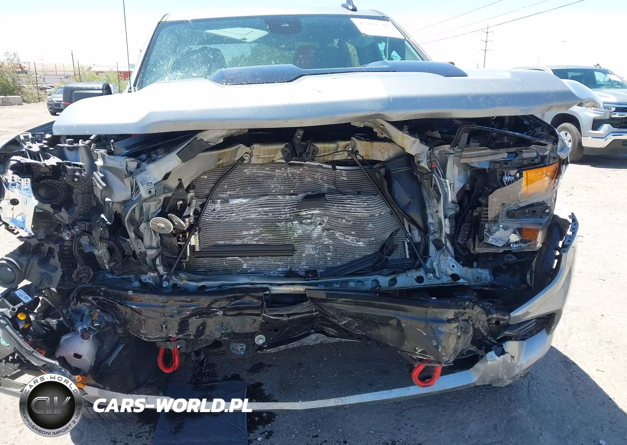 2025 Chevrolet Silverado 1500 4Wd Short Bed Custom Trail Boss VIN:3GCUKCED7SG374810 - 6