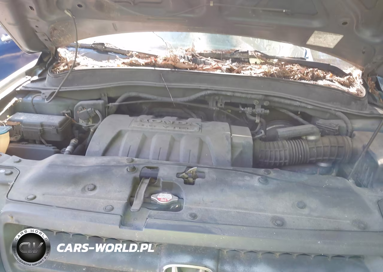 2005 Honda Pilot Ex-L VIN:2HKYF18605H541365 - 10