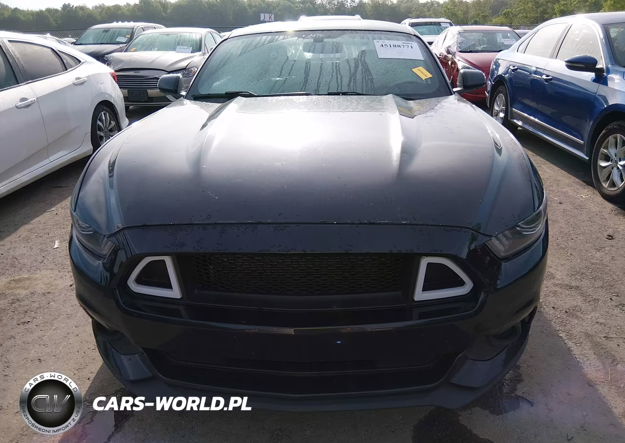 2017 Ford Mustang V6 VIN:1FA6P8AM0H5230504 - 12