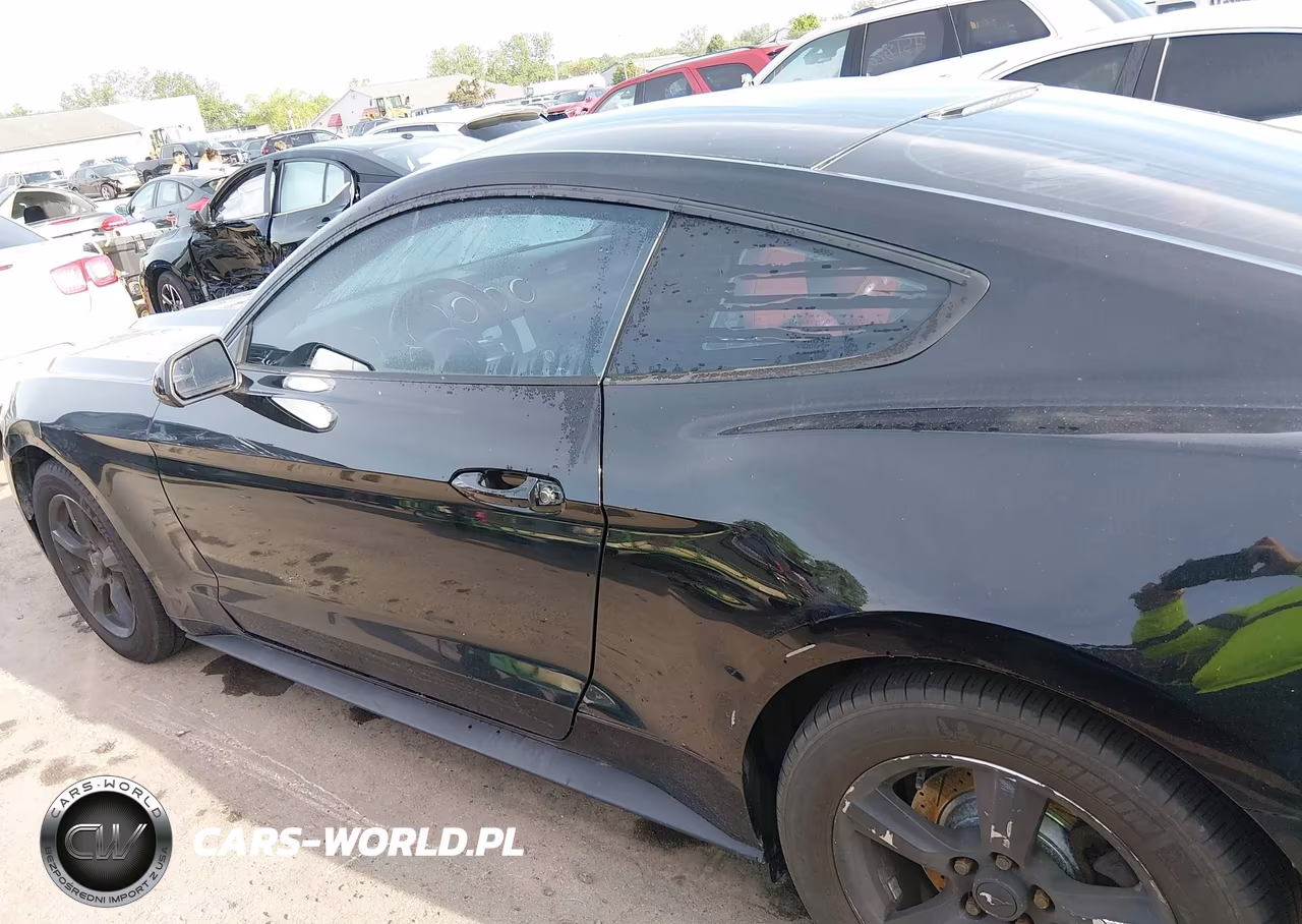 2017 Ford Mustang V6 VIN:1FA6P8AM0H5230504 - 14