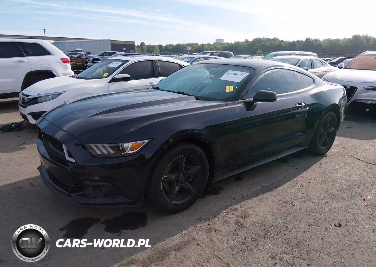 2017 Ford Mustang V6 VIN:1FA6P8AM0H5230504 - 2