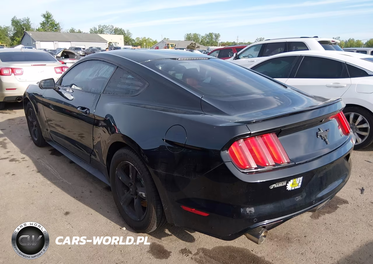 2017 Ford Mustang V6 VIN:1FA6P8AM0H5230504 - 3