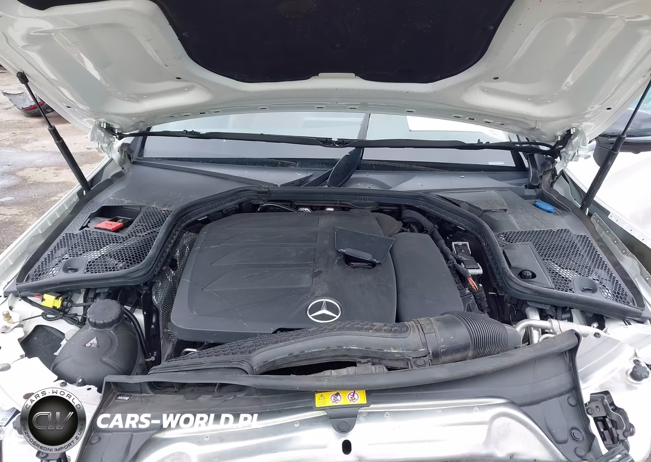 2023 Mercedes-Benz C 300 Cabriolet VIN:W1KWK8DB9PG124225 - 10