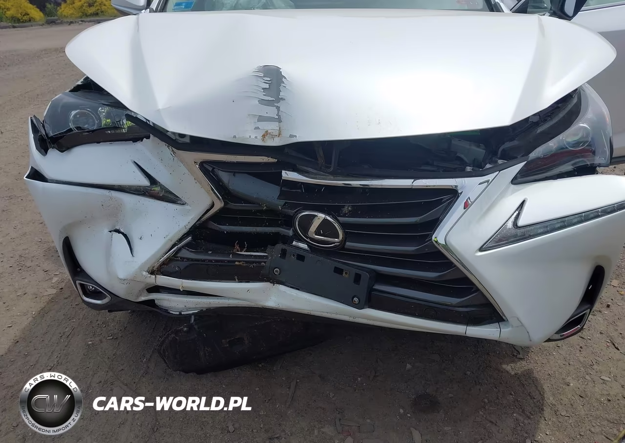 2016 Lexus Nx 200T VIN:JTJBARBZ8G2059007 - 6