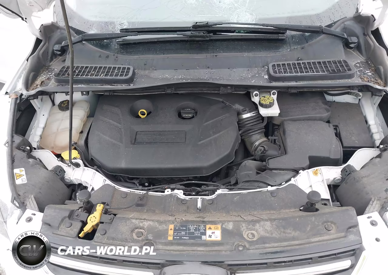 2014 Ford Escape Titanium VIN:1FMCU0J95EUC29350 - 10
