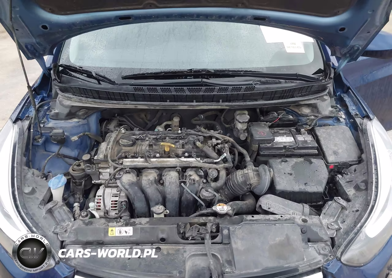 2015 Hyundai Elantra Se VIN:5NPDH4AE5FH619085 - 10