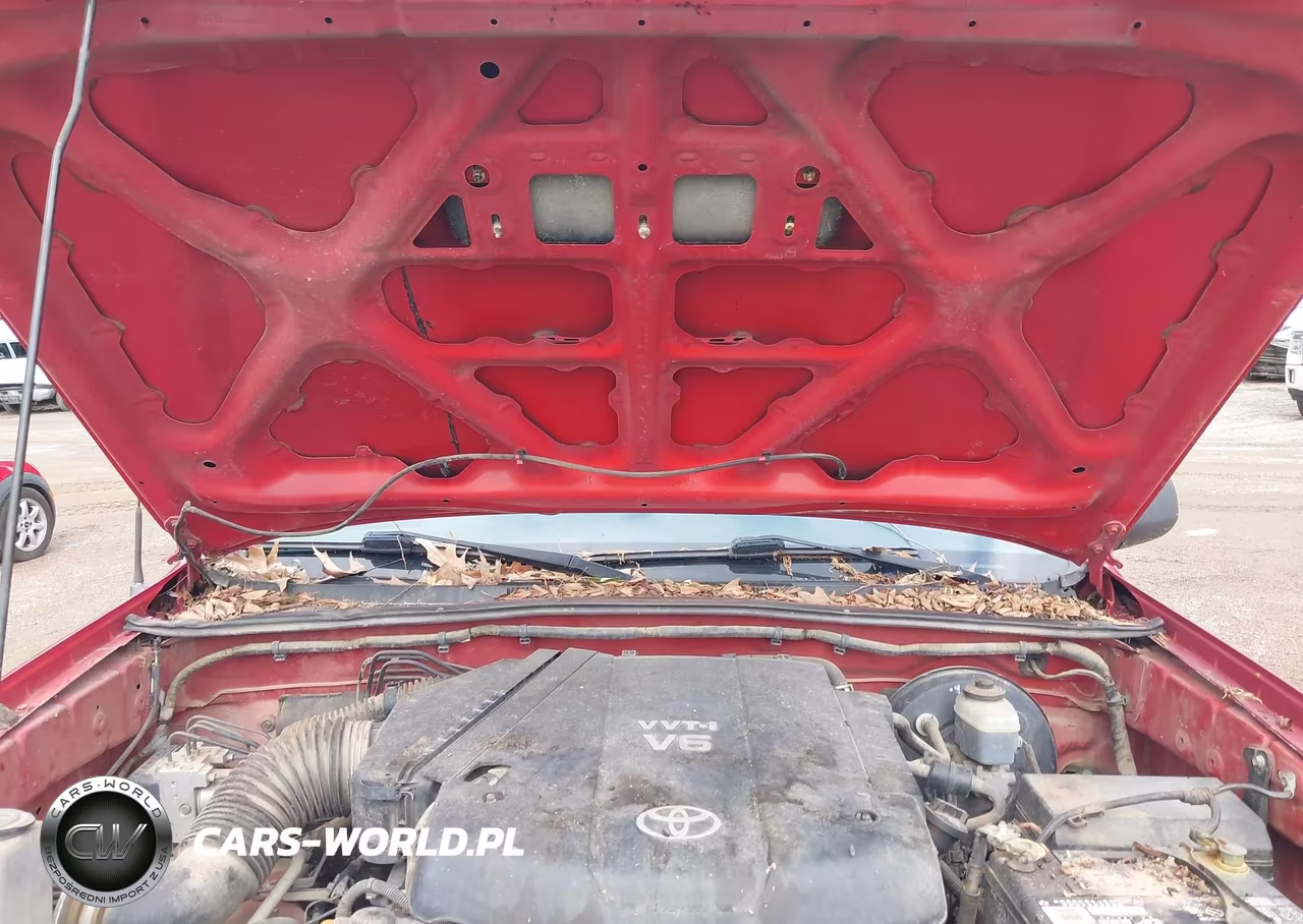 2006 Toyota Tacoma Base V6 VIN:5TELU42N06Z289889 - 10