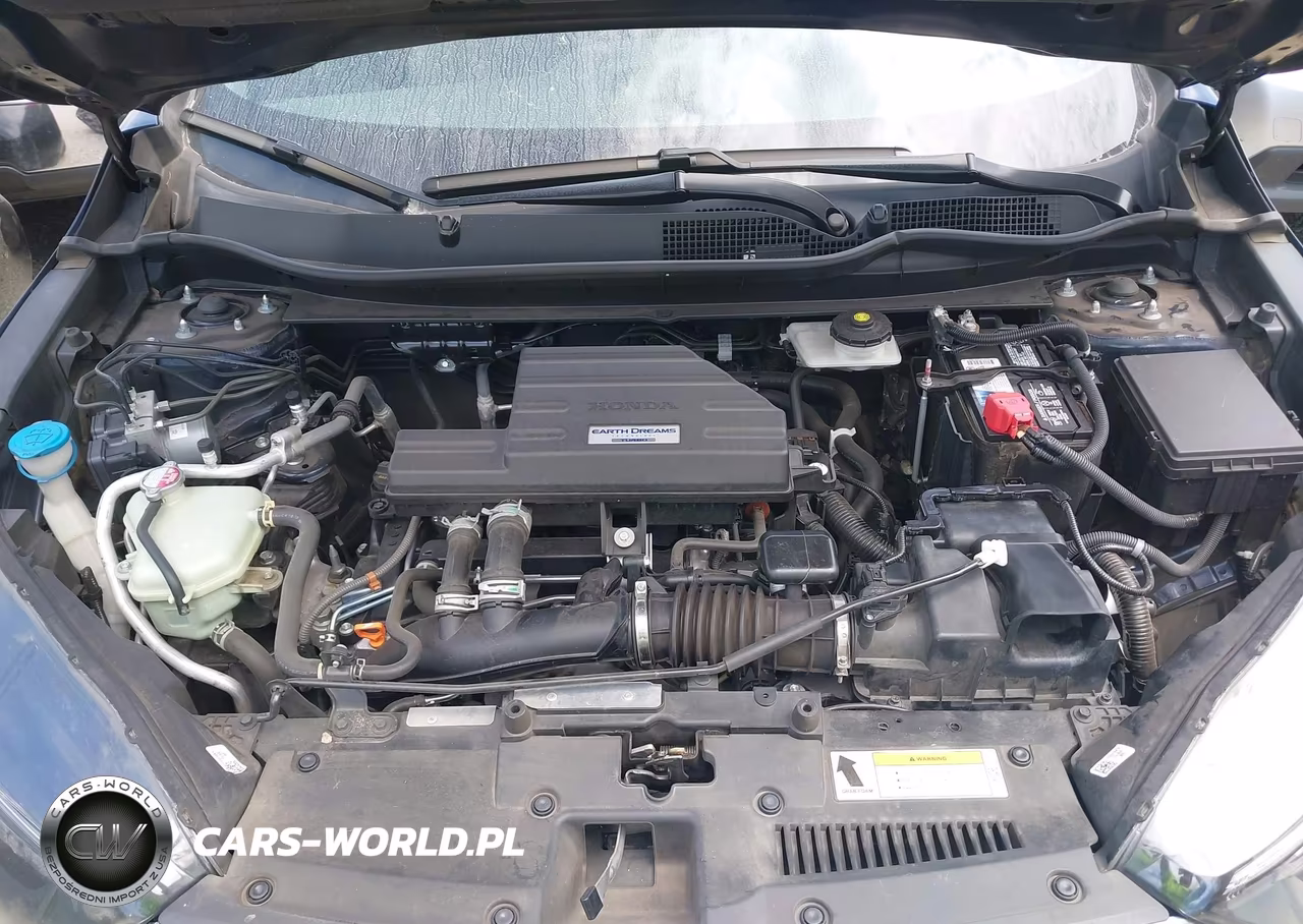 2019 Honda Cr-V Ex-L VIN:5J6RW1H89KA032667 - 10