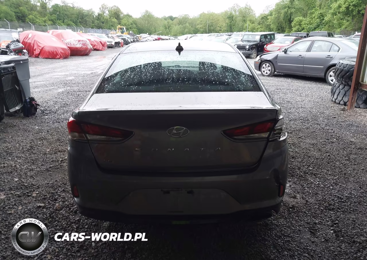 2019 Hyundai Sonata Se VIN:5NPE24AF6KH750762 - 16