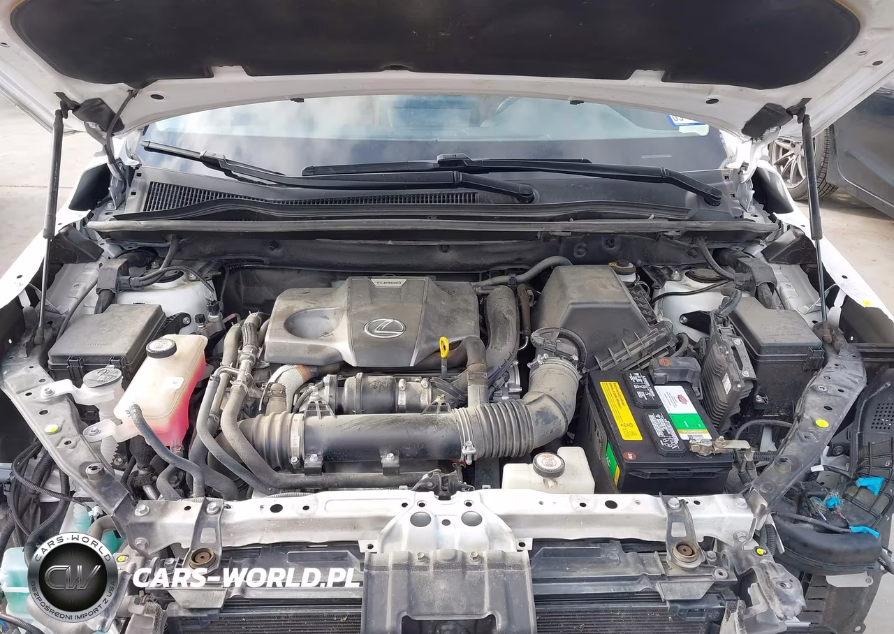 2021 Lexus Nx 300 VIN:JTJDARBZ9M5025256 - 10