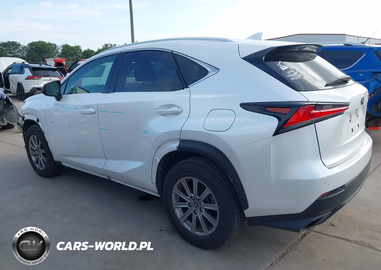 2021 Lexus Nx 300 VIN:JTJDARBZ9M5025256 - 15