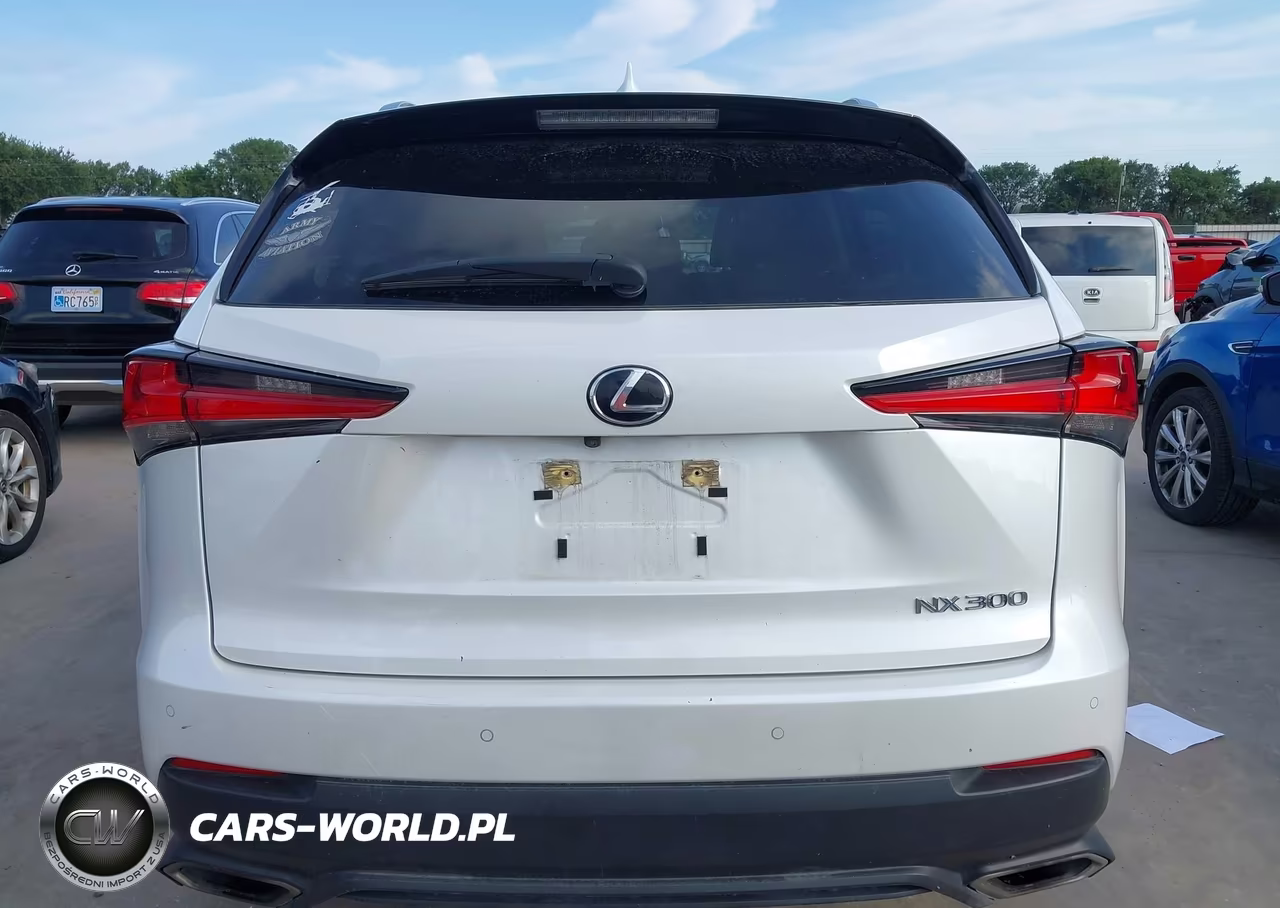 2021 Lexus Nx 300 VIN:JTJDARBZ9M5025256 - 17