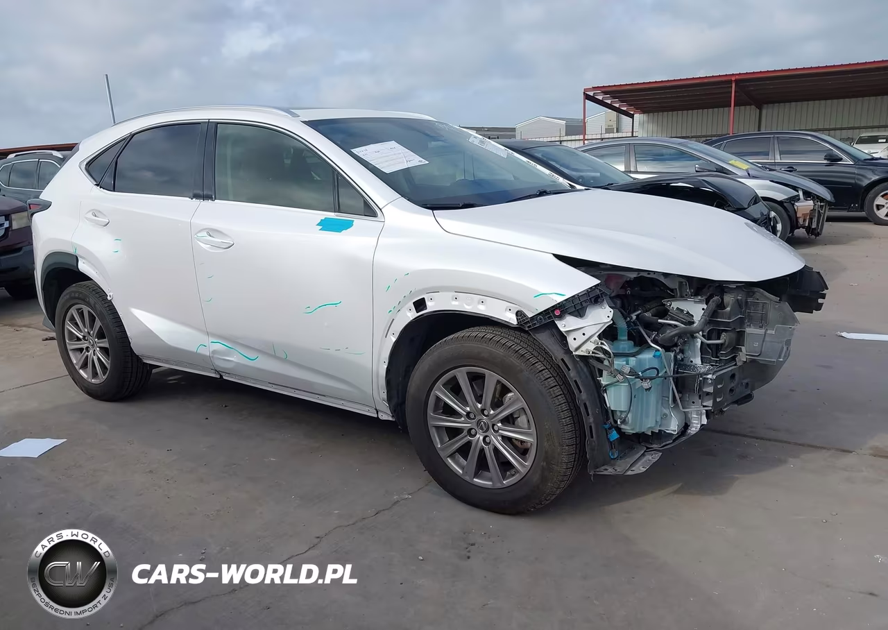 2021 Lexus Nx 300 VIN:JTJDARBZ9M5025256 - 18
