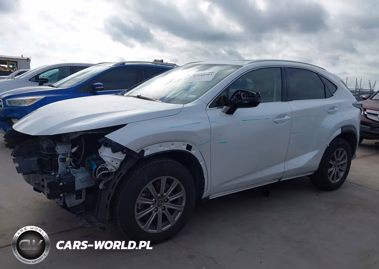 2021 Lexus Nx 300 VIN:JTJDARBZ9M5025256 - 19