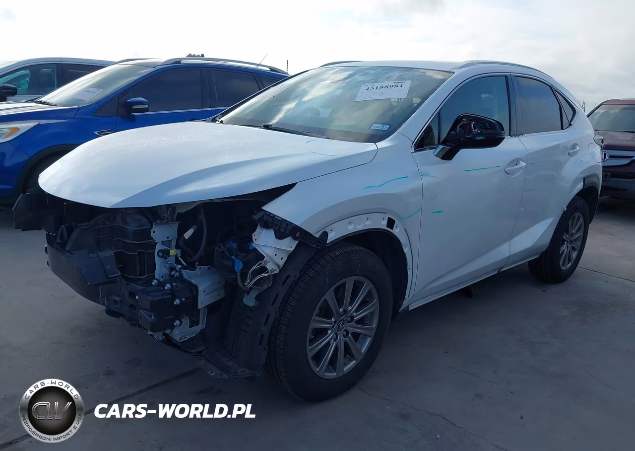 2021 Lexus Nx 300 VIN:JTJDARBZ9M5025256 - 2