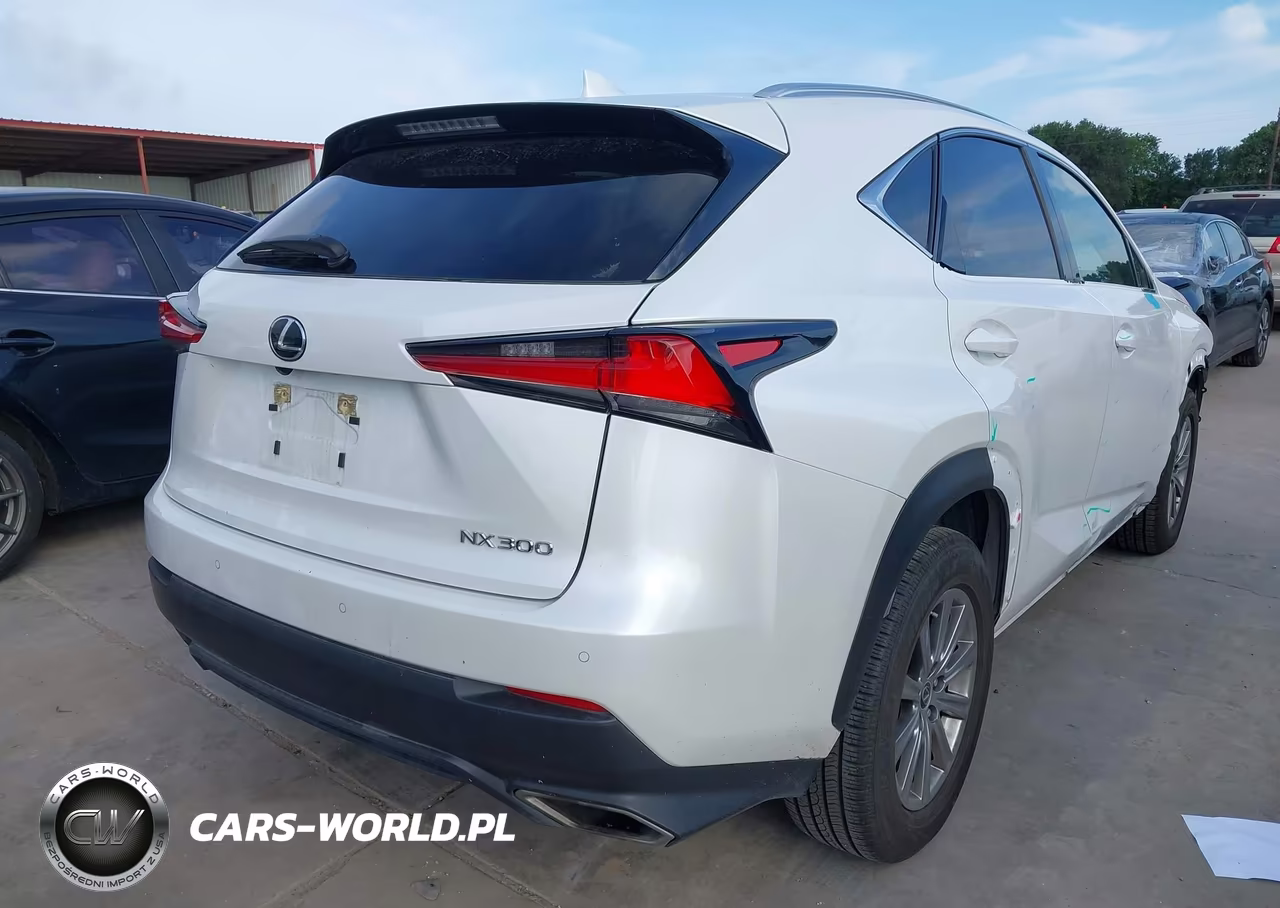 2021 Lexus Nx 300 VIN:JTJDARBZ9M5025256 - 4