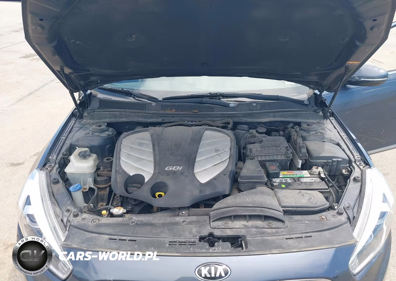 2014 Kia Cadenza Premium VIN:KNALN4D74E5123465 - 10