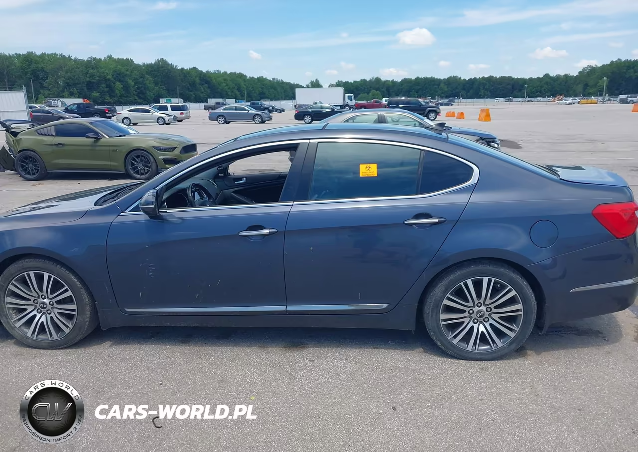 2014 Kia Cadenza Premium VIN:KNALN4D74E5123465 - 14