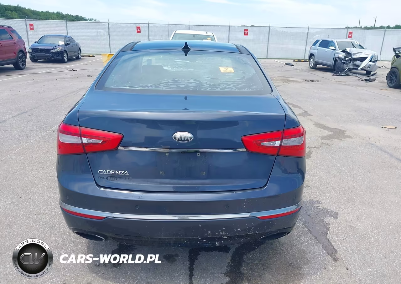 2014 Kia Cadenza Premium VIN:KNALN4D74E5123465 - 16