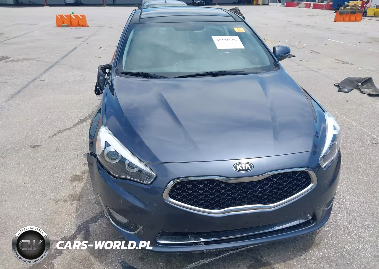 2014 Kia Cadenza Premium VIN:KNALN4D74E5123465 - 6
