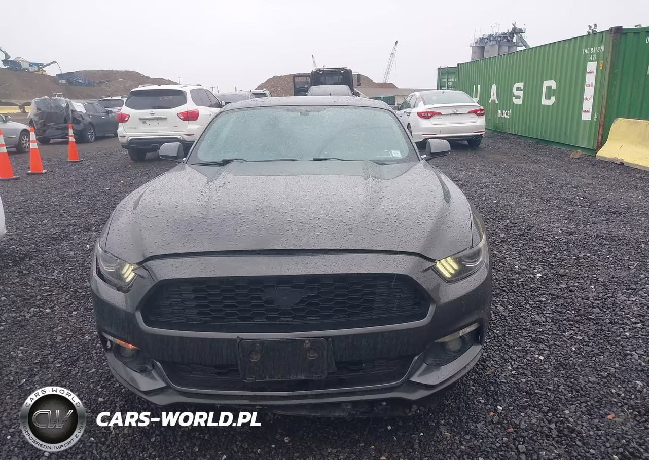 2017 Ford Mustang Ecoboost VIN:1FA6P8TH5H5338603 - 12