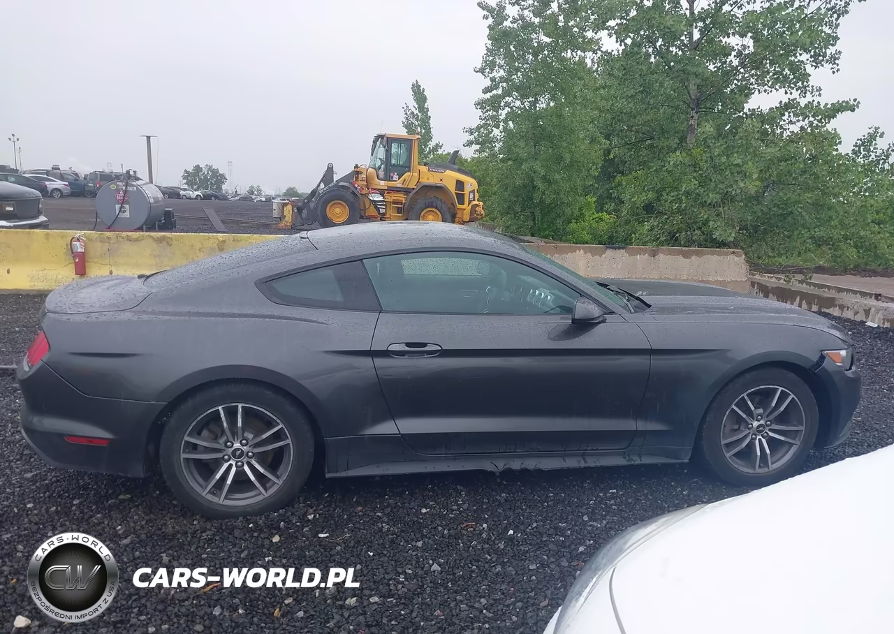 2017 Ford Mustang Ecoboost VIN:1FA6P8TH5H5338603 - 13